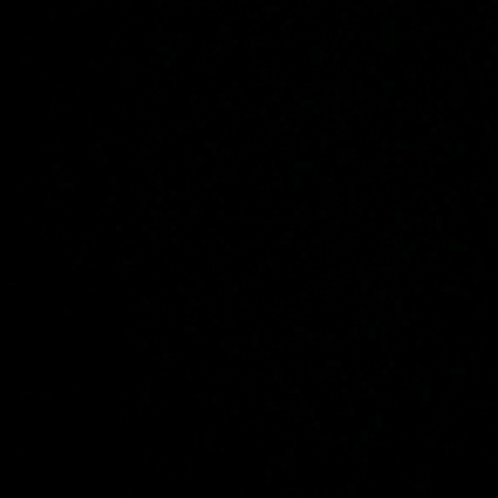 Meet your Posher, Alize